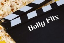 bollyflix movie